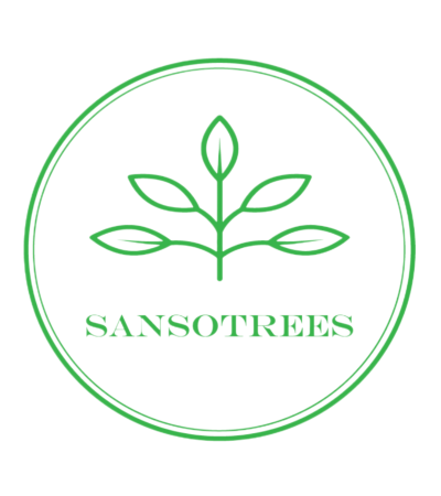 2021(3) Logo Sansotree SE
