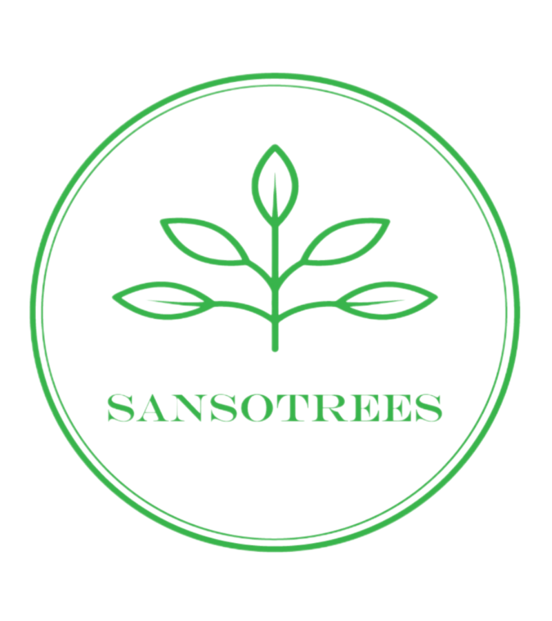 2021(3) Logo Sansotree SE